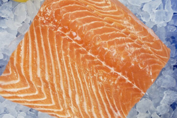 Fresh Scottish Salmon Filet